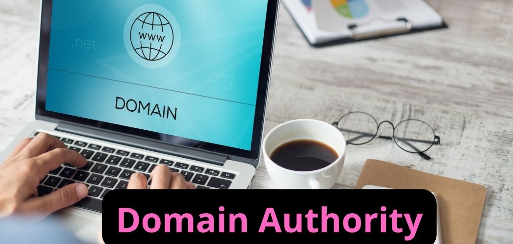 Domain Authority: do you already know about your authority