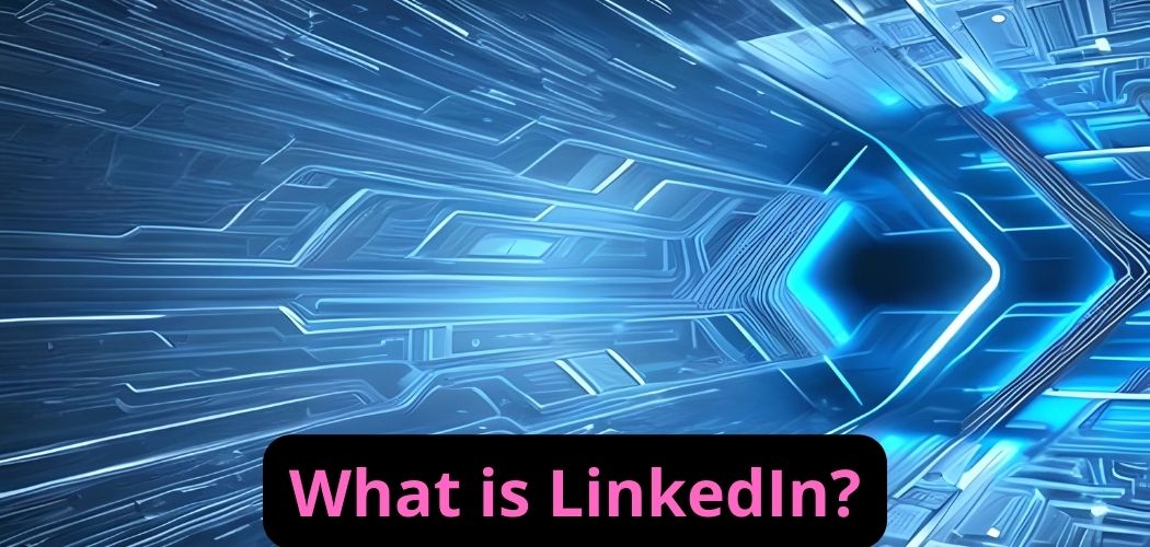 LinkedIn: the largest business social network of the moment