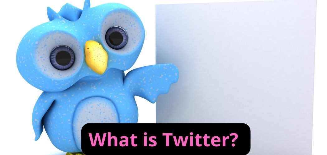Twitter: know the complete guide to this social network