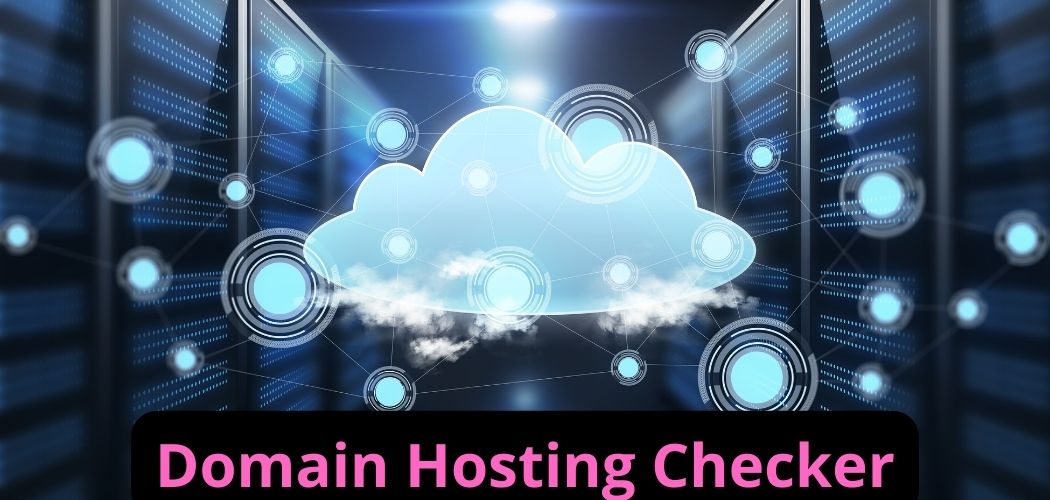 Domain Hosting Checker